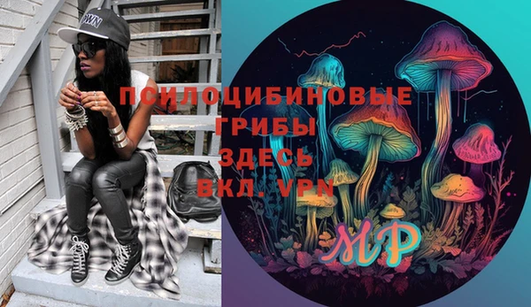 дурь Карталы
