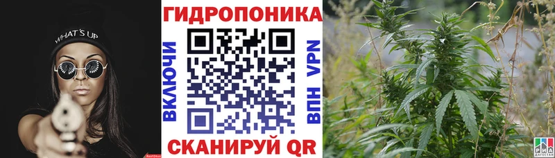 Шишки марихуана гибрид  Минусинск 